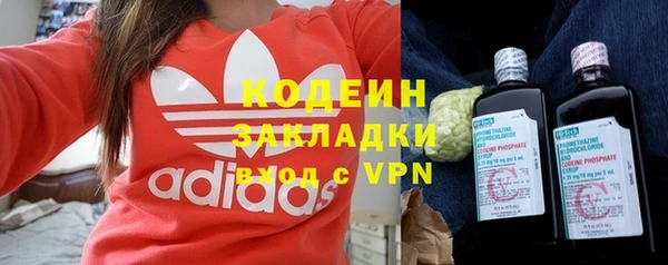 мдпв Кодинск