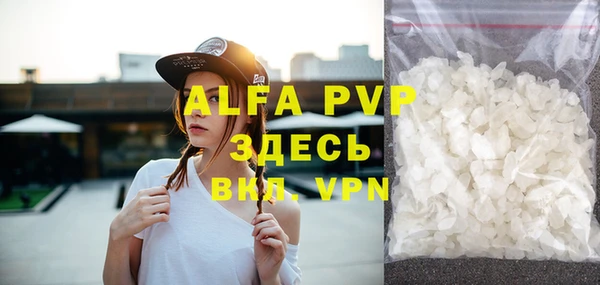 индика Козельск