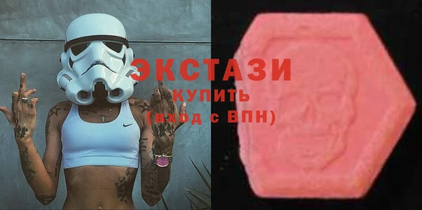 индика Козельск