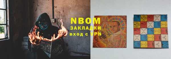 индика Козельск