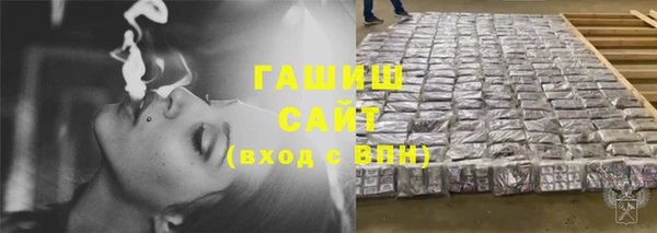 индика Козельск
