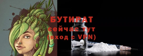 индика Козельск