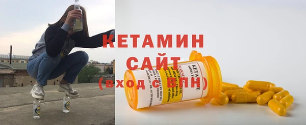 индика Козельск