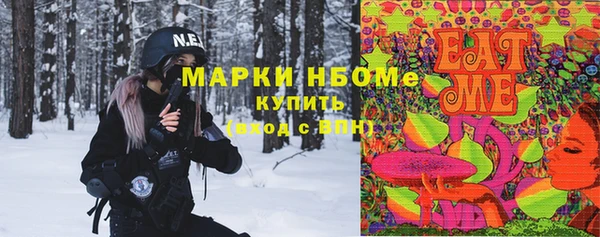 индика Козельск