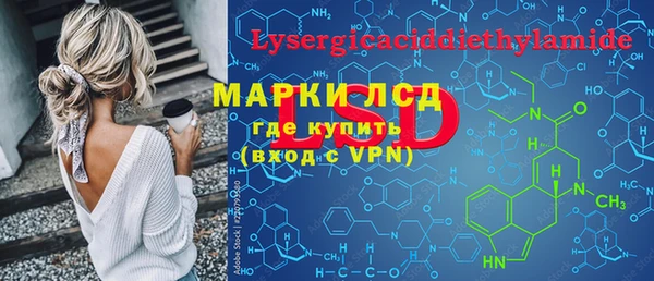 индика Козельск