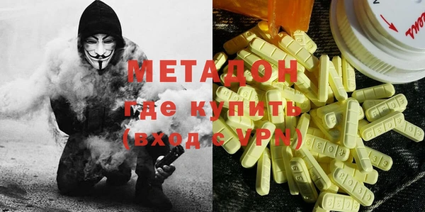 индика Козельск