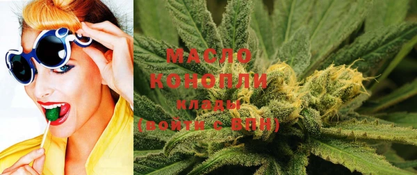 индика Козельск
