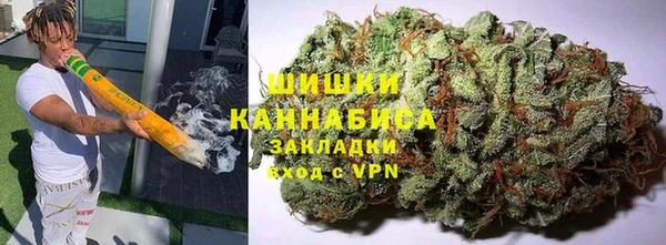 мдпв Кодинск