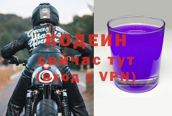 мдпв Кодинск