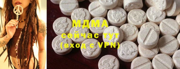 индика Козельск