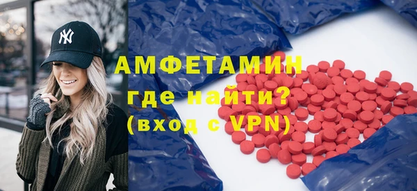 индика Козельск