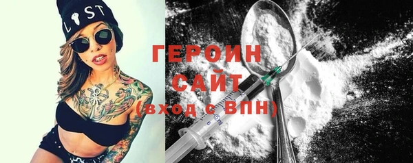 индика Козельск