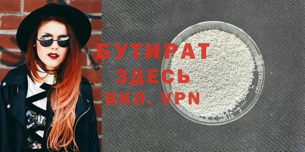 индика Козельск