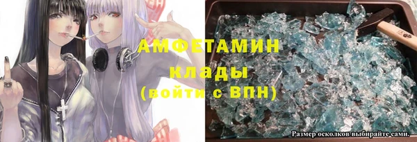 индика Козельск