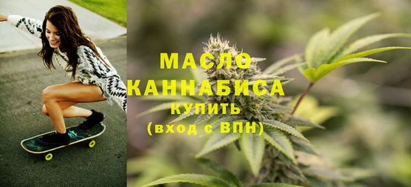 индика Козельск