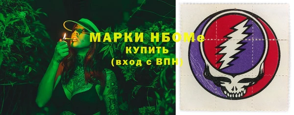 индика Козельск