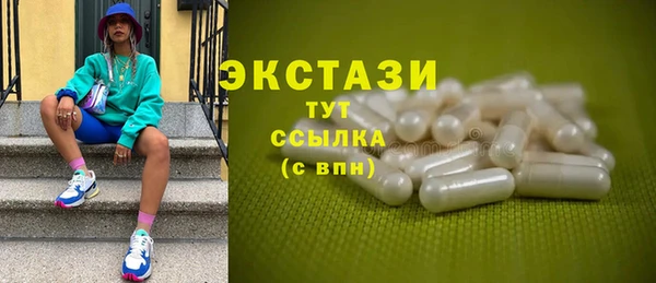 индика Козельск