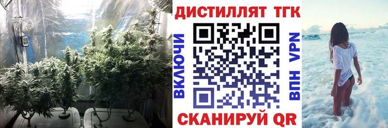 Купить  Ачхой-Мартан  Дистиллят ТГК THC oil 