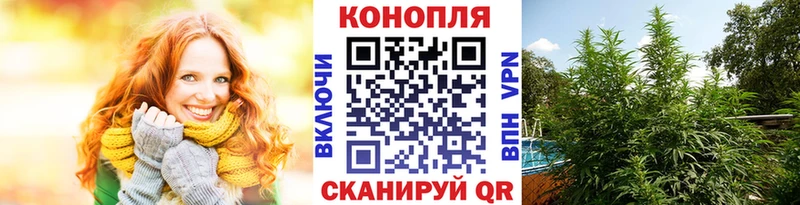 Купить  Ачхой-Мартан  МАРИХУАНА Ganja 